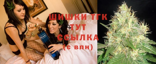 ешки Алзамай