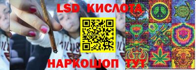 spice Заводоуковск