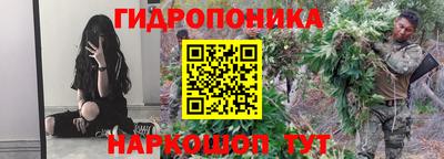 spice Заводоуковск