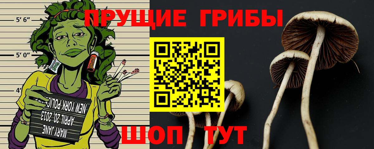 ГАШИШ Киров