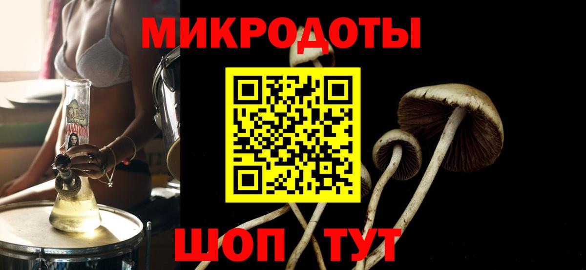 Киров  Галлюциногенные грибы GOLDEN TEACHER  Вход с VPN 